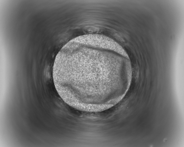 X0000085770962200704091350