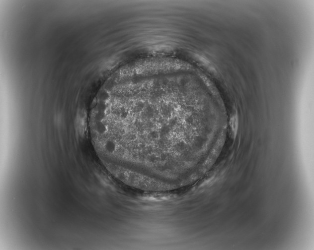 X0000085770963200704091350