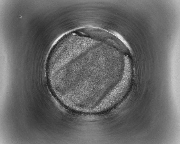 X0000085770972200704091350