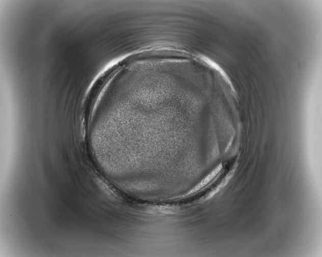 X0000085770973200704091349