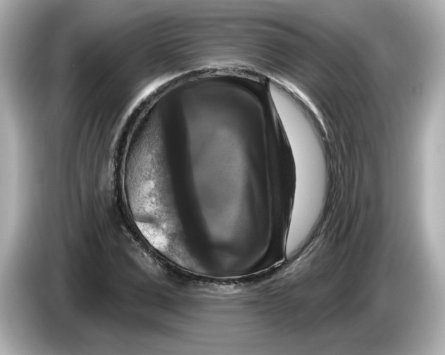 X0000085770975200704091349