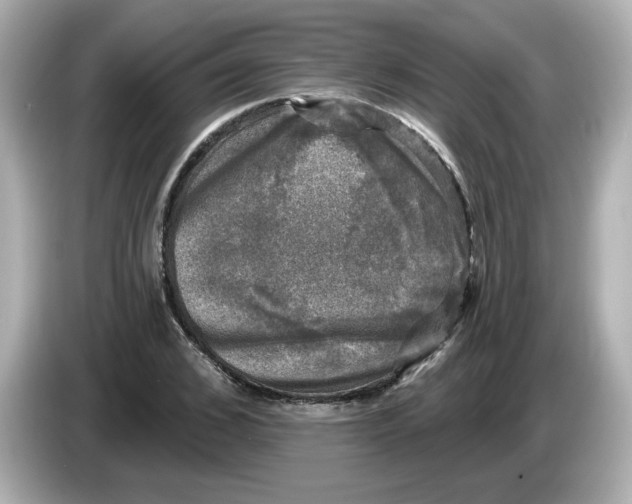 X0000085770976200704091349