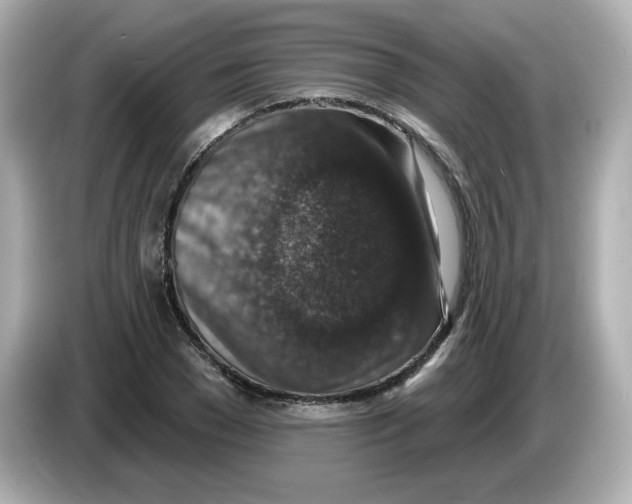 X0000085770977200704091349