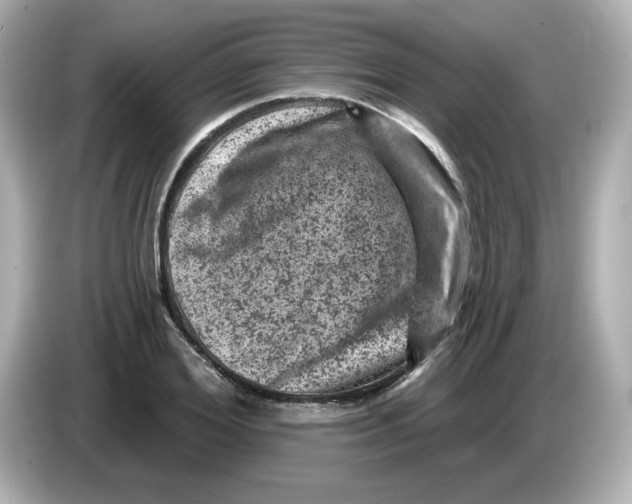 X0000085770980200704091349