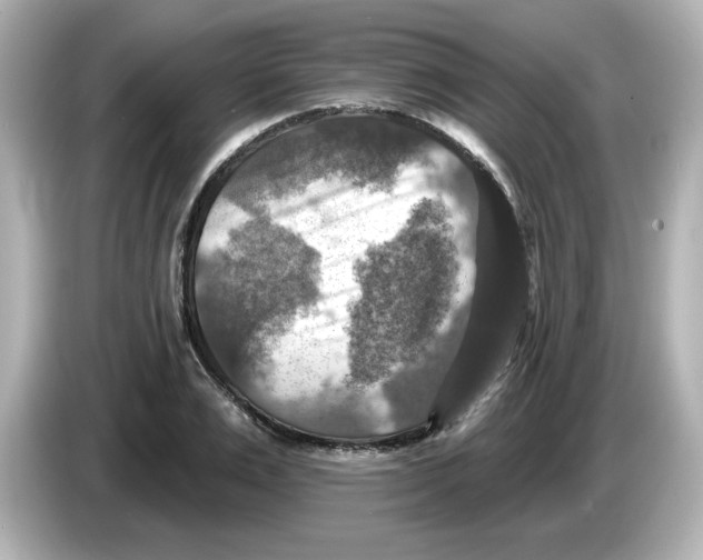 X0000085770983200704091349