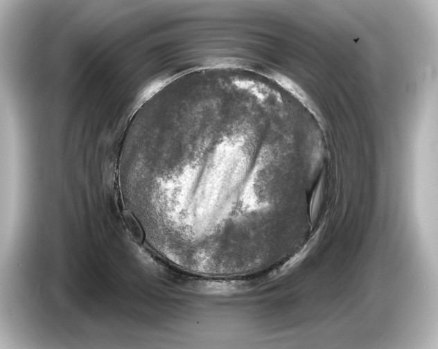 X0000085770985200704091349