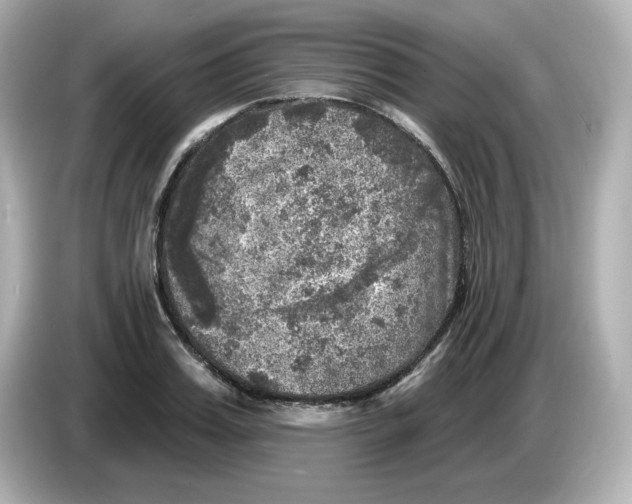 X0000085770987200704091349