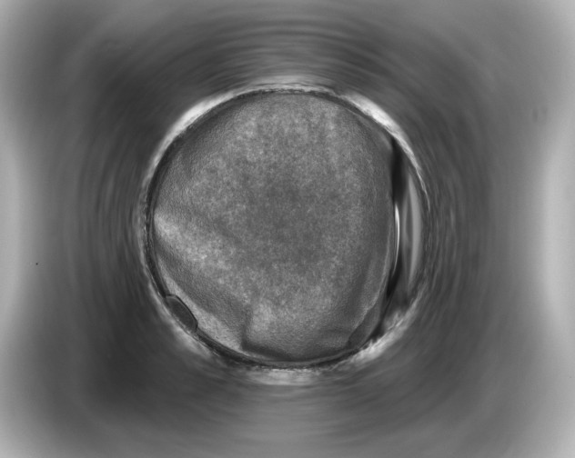 X0000085770989200704091349