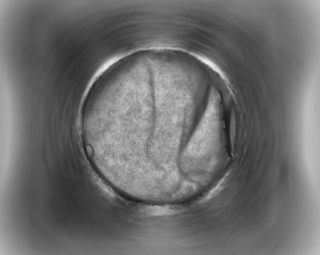 X0000085770990200704091349