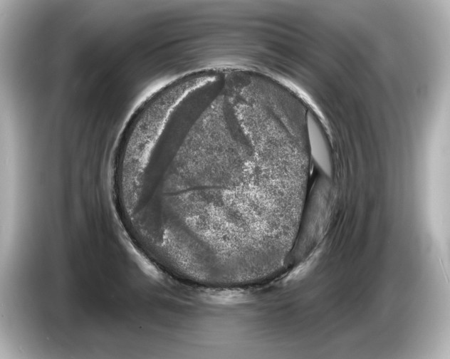 X0000085770991200704091349