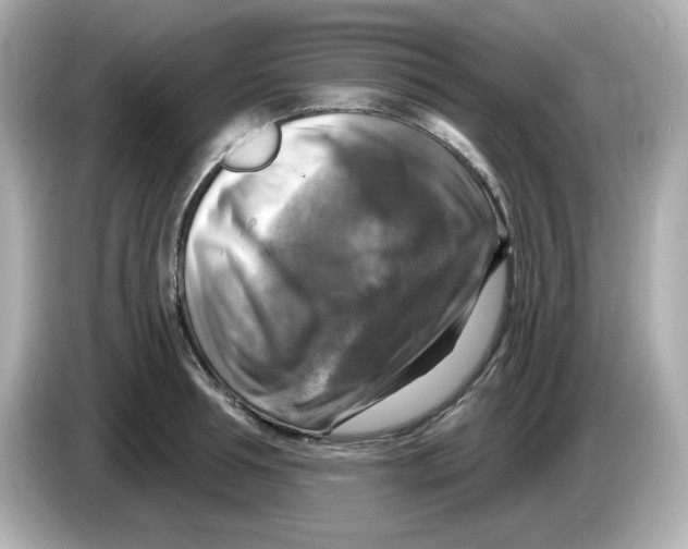 X0000085770994200704091349