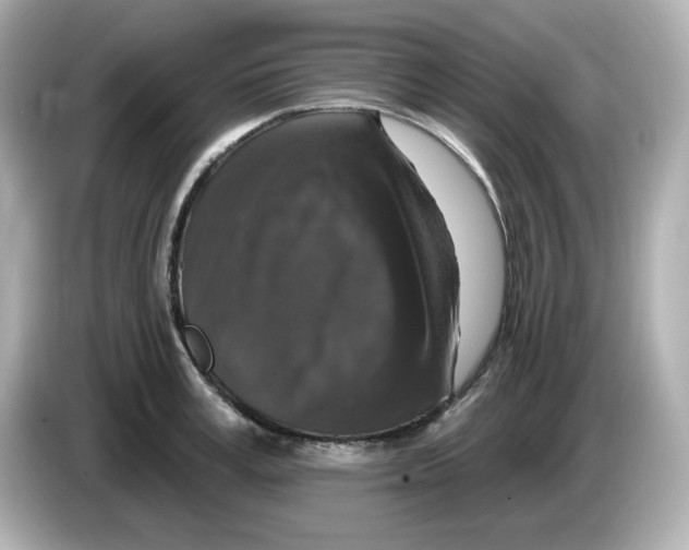 X0000085770995200704091349