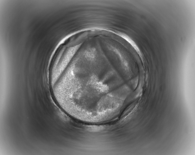 X0000085770996200704091349