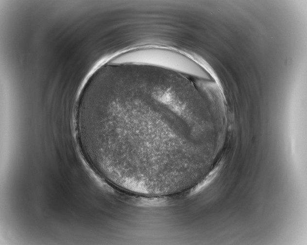 X0000085770997200704091349