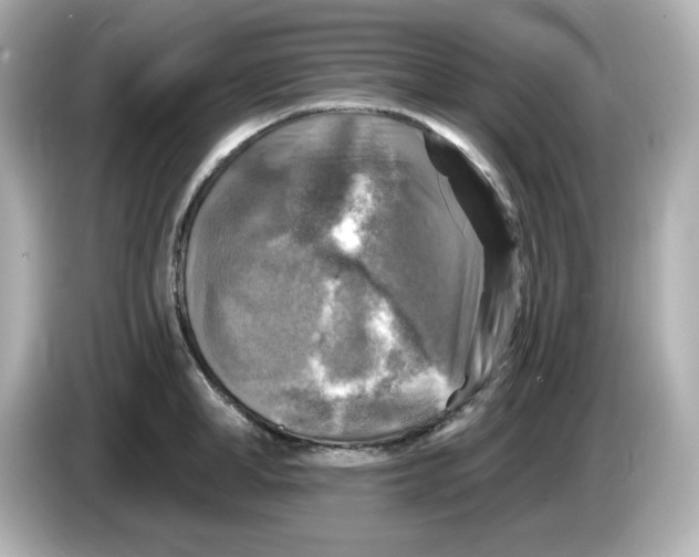 X0000085770998200704091349