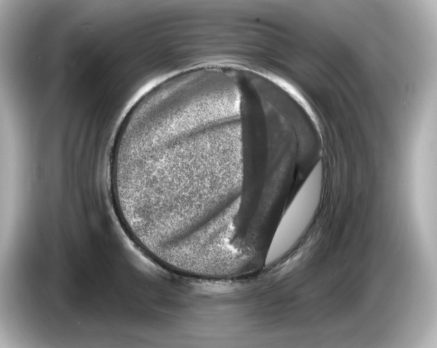 X0000085770999200704091349