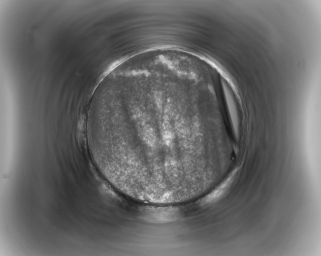 X0000085771001200704091349