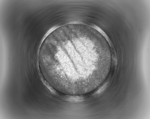 X0000085771002200704091349