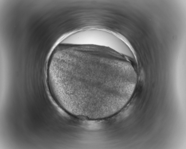 X0000085771005200704091349