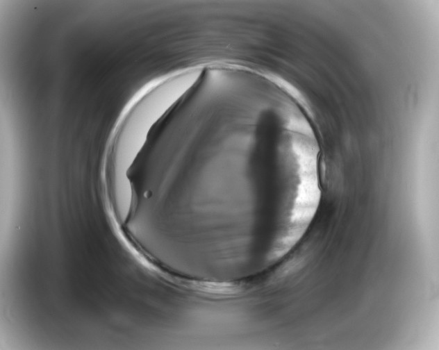 X0000085771007200704091349