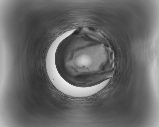 X0000085771010200704091349