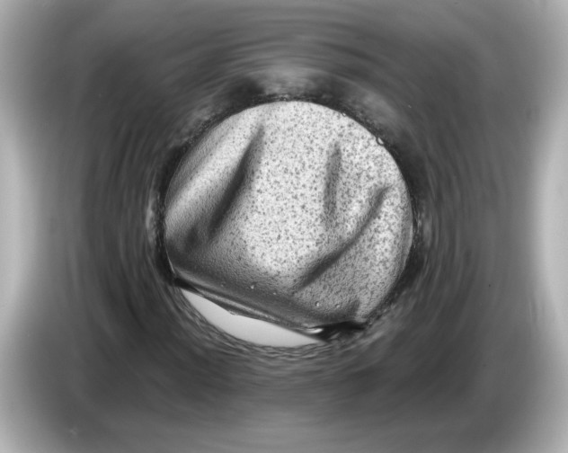 X0000085771012200704091349