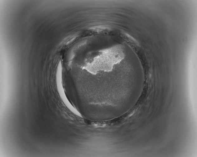 X0000085771014200704091349