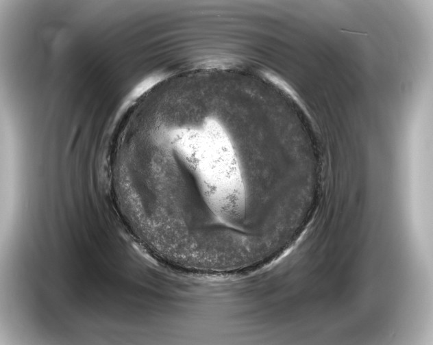 X0000085771018200704091349