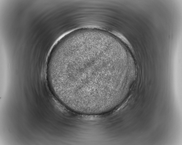 X0000085771020200704091349