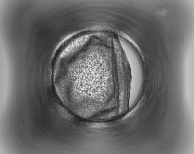 X0000085771021200704091349