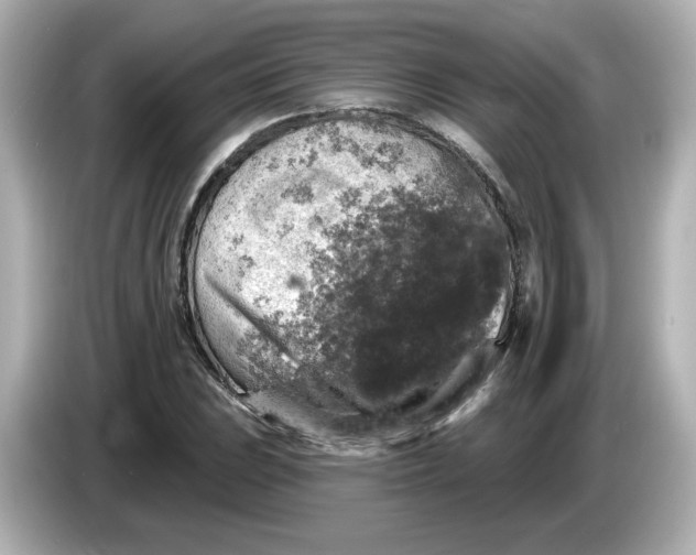 X0000085771023200704091349