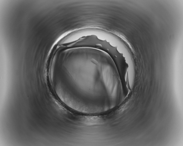 X0000085771024200704091349