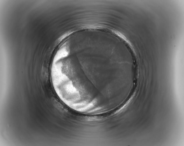 X0000085771025200704091349