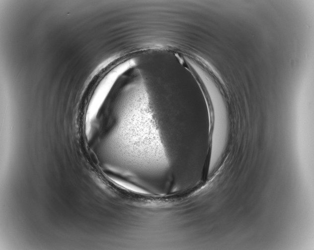 X0000085771026200704091349