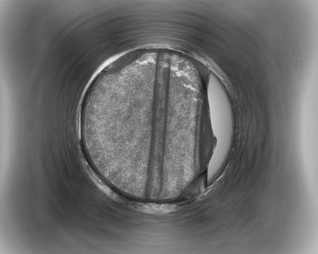 X0000085771036200704091349