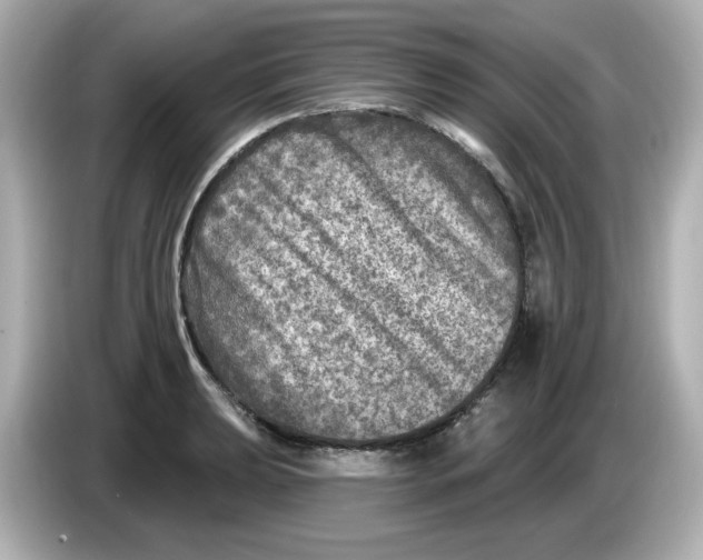 X0000085771039200704091349