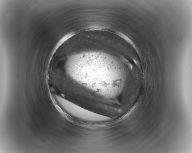 X0000085771042200704091349