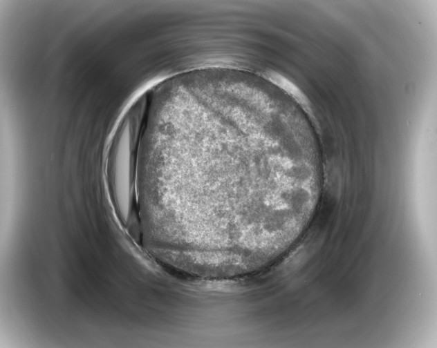 X0000085771043200704091349