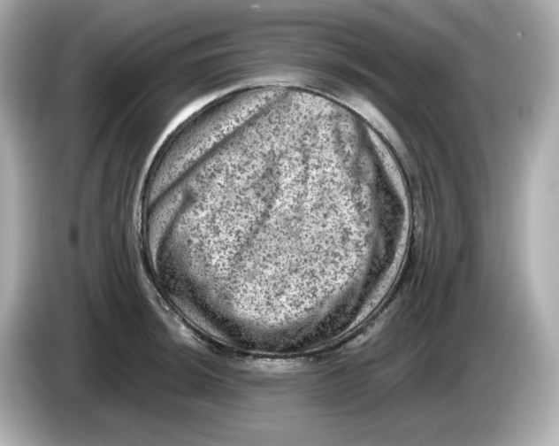 X0000085771044200704091349