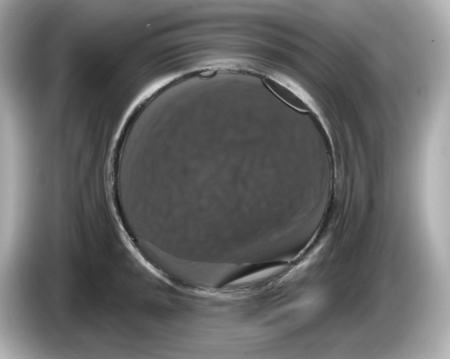 X0000085771045200704091349