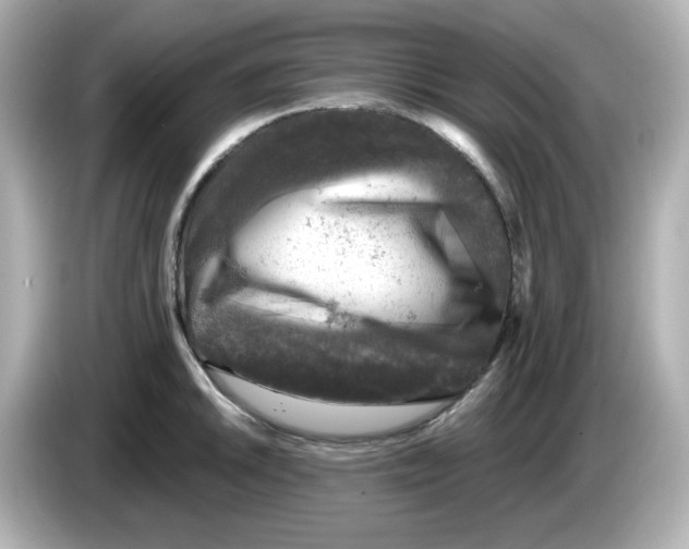 X0000085771046200704091349