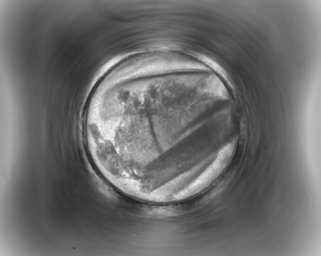 X0000085771047200704091349