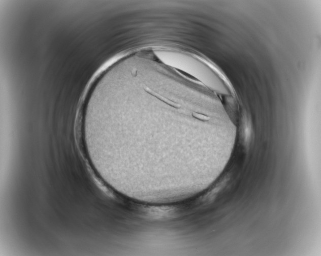 X0000085771053200704091349