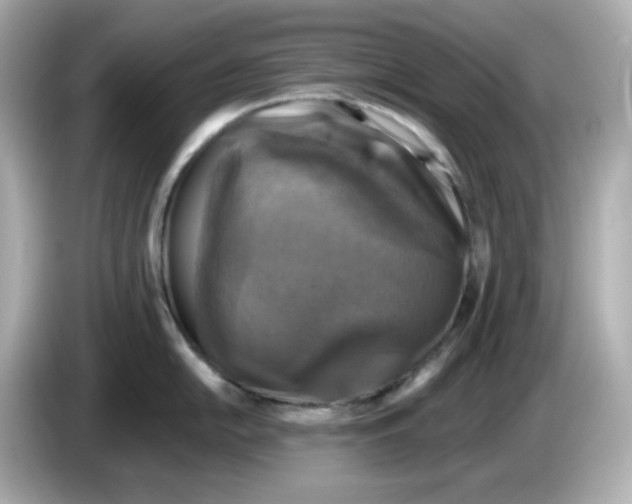 X0000085771054200704091349