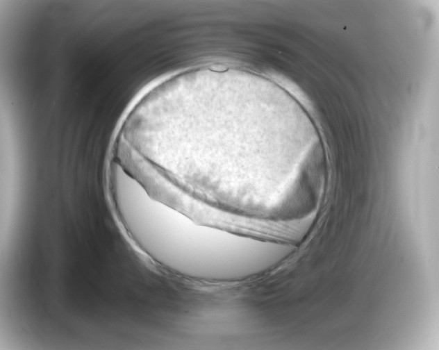 X0000085771056200704091349