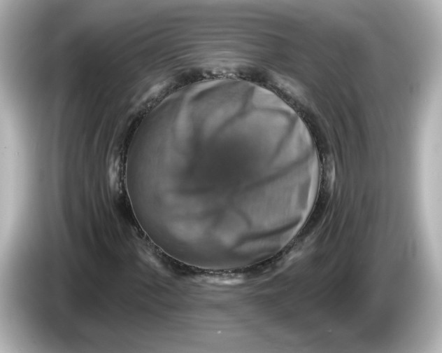 X0000085771060200704091348