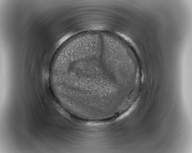 X0000085771065200704091348