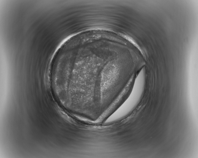 X0000085771068200704091348