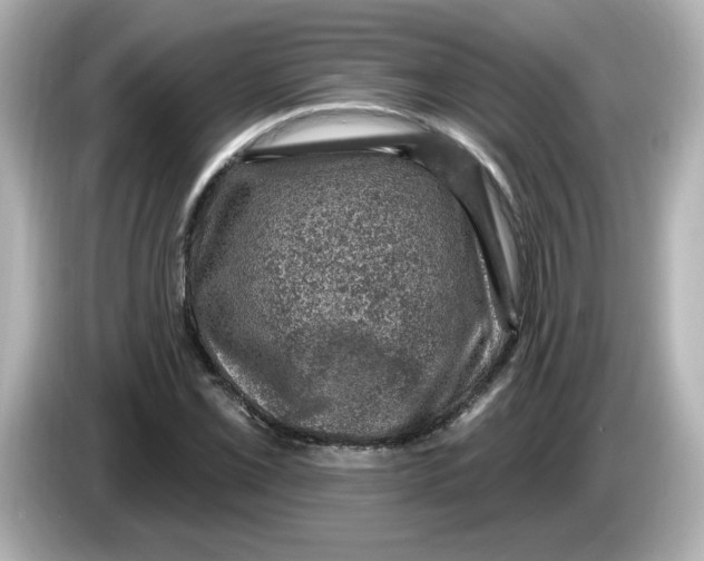 X0000085771069200704091348