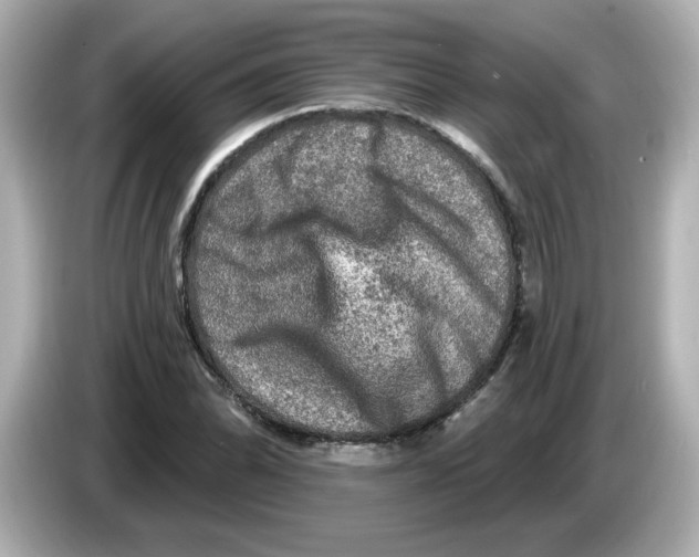 X0000085771070200704091348